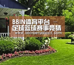 BBIN体育平台 - 足球篮球赛事竞猜平台