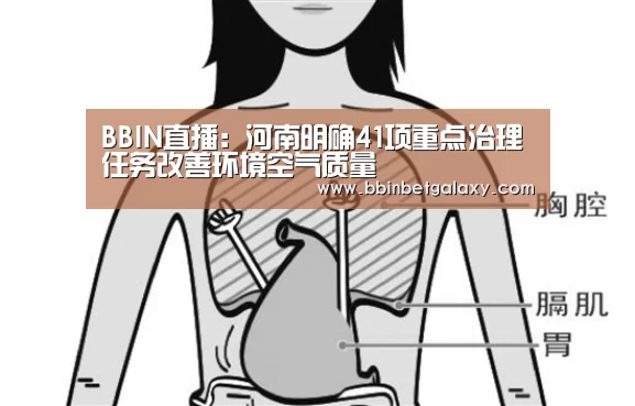 BBIN直播:河南明确41项重点治理任务改善环境空气质量(图3) BBIN直播