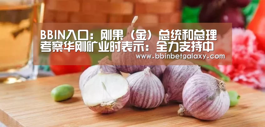 BBIN入口:刚果(金)总统和总理考察华刚矿业时表示:全力支持中刚“一揽子”合作(图1) BBIN入口