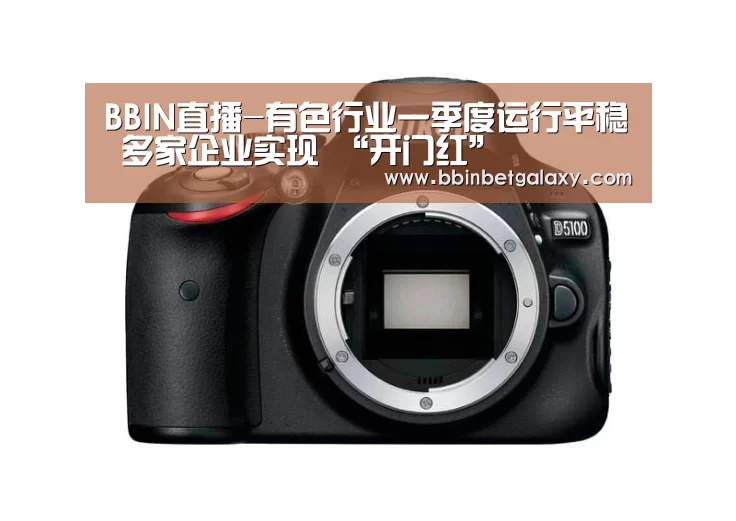 BBIN直播